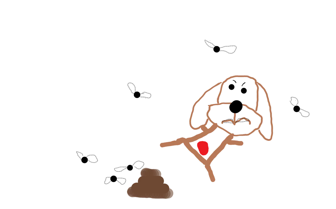 Un perrito triste y malito de la tripa porque ha hecho mucha caca y hay muchas moscas